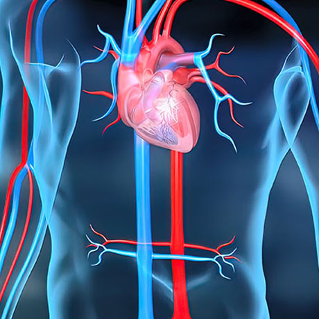 AI Technology and the treatment of heart failure