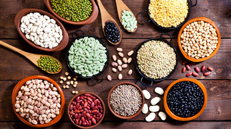 Fresh &amp; Healthy: Dried Beans &amp; Lentils