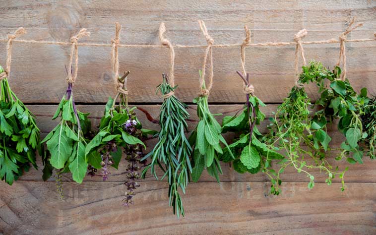 Herbs hanging up to dry, for a blog about their health benefits and how to incorporate into your diet.