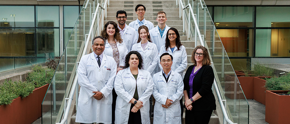 adult cardiology fellows