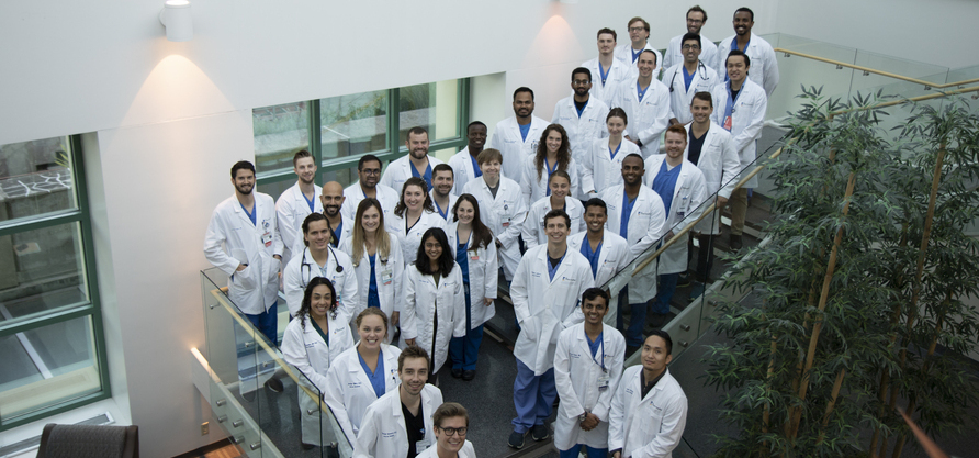 Doctors in white coats