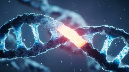 CRISPR Cholesterol Trial